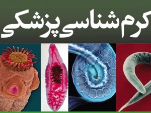 دانلود جزوه خلاصه کرم شناسی