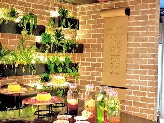  رولر یادداشت دیواری مدوس ، یک منوی خلاقانه برای کافه و رستوران !!