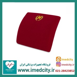 پشت کمری هوشمند مدل خودرویی