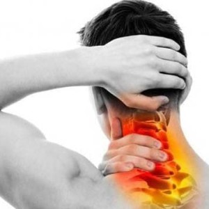 دستگاه عضلانی‌ـ‌اسکلتی