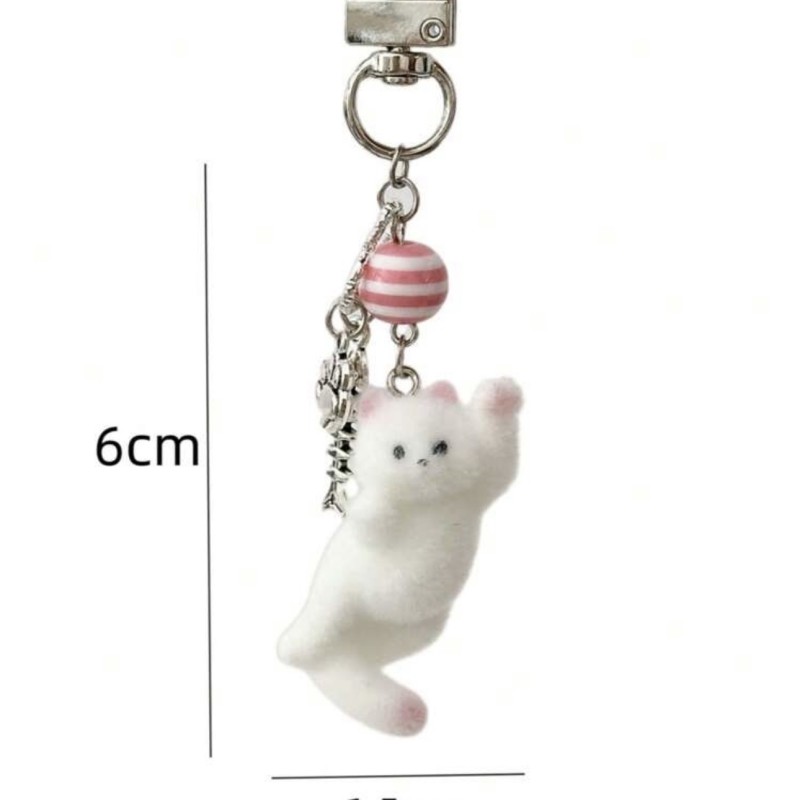 چارم بگ گربه