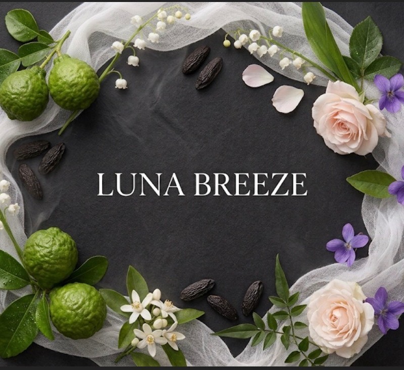 اسانس دستگاه خوشبو کننده رایحه( Luna Breeze)نقدی