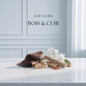 اسانس دستگاه خوسبو کننده (Bois & Cuir) اعتباری اسنپ پی