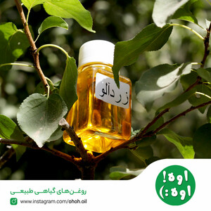 روغن هسته زردآلو