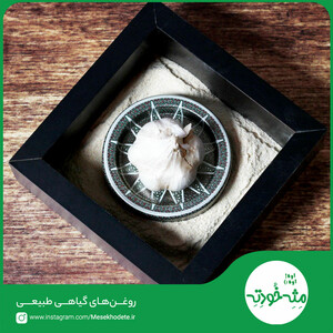 پودر سیر