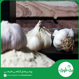 پودر سیر