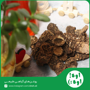 روغن کُندُش