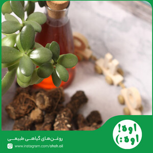 روغن کُندُش