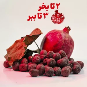 پک یلدایی 2+1 عناب خشک  ۱۰۰ گرمی