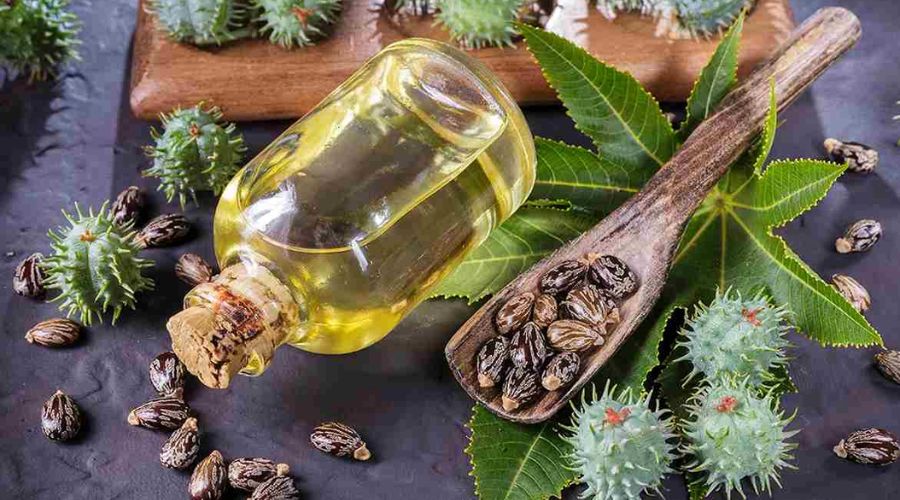 روغن کرچک اصل