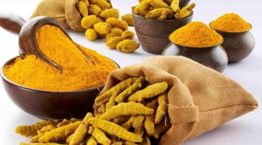زردچوبه قلم درجه یک