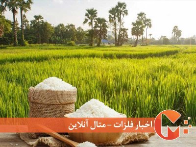 ممنوعیت صادرات برنج روسیه