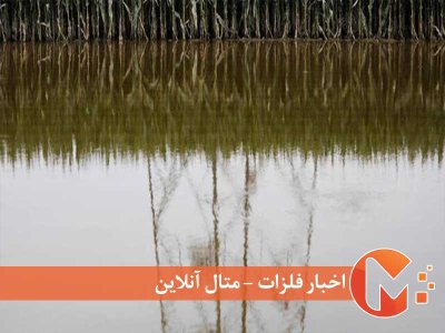 تورم جهانی موادغذایی