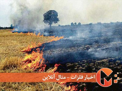 آتش روسیه در خرمن گندم