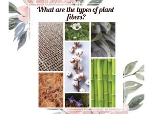 انواع الیاف گیاهی کدامند؟