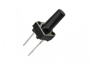 (تک سوئیچ)TACT SW 6*6*10mm-2P