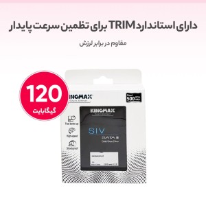 Internal SSD KingMax KM120GSMV32 120GB