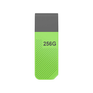 فلش مموری ایسر مدل UP200 ظرفیت 256 گیگابایت با رابط USB 2.0