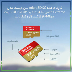 کارت حافظه SanDisk 256GB