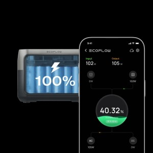قیمت پاور استیشن اکوفلو مدل RIVER mini