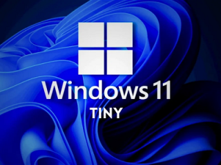 این نسخه از ویندوز ۱۱ فقط ۳ گیگابایت حجم دارد و مخصوص کامپیوترهای قدیمی است