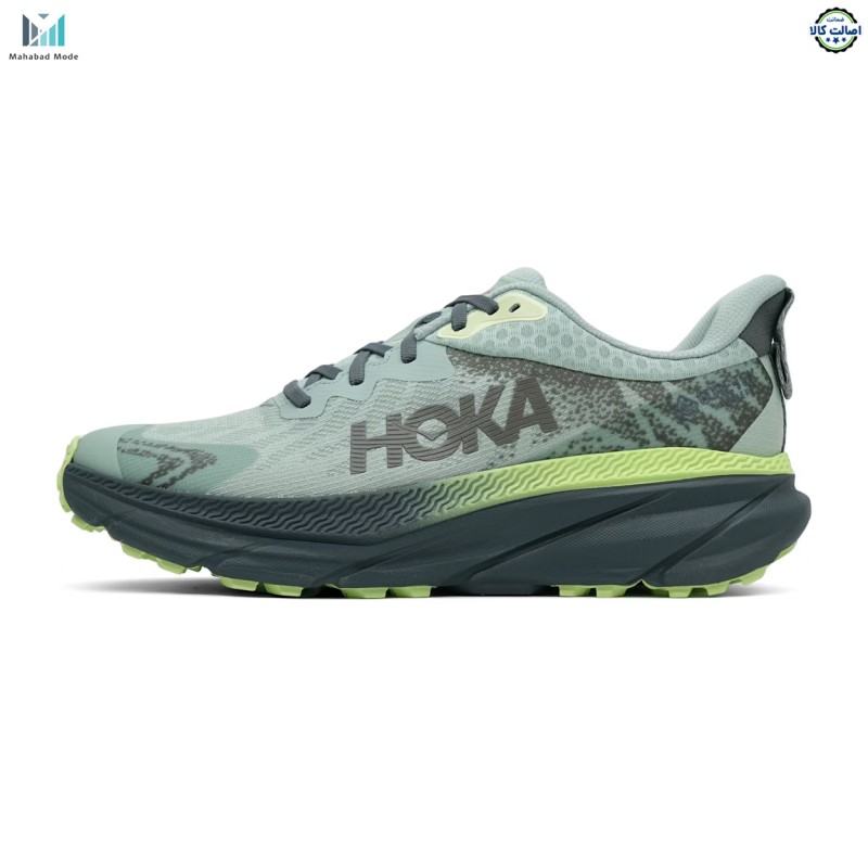 کفش هوکا چلنجر 7 گورتکس مدل HOKA Challenger ATR 7 GTX 1134501F-ALVR سایز 43، 46