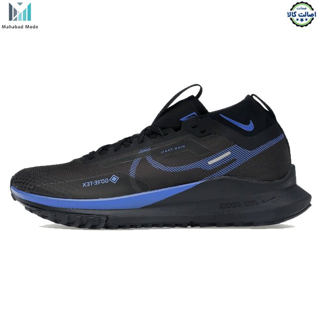 کفش نایکی پگاسوس تریل 4 گورتکس مدل Nike Pegasus Trail 4 GORE-TEX FB2193-200 سایز 44/5