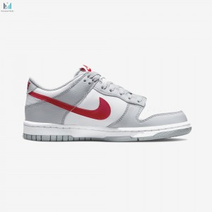 قیمت کفش نایکی دانک مدل Nike Dunk Low DV7149-001