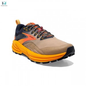 کتونی بروکس کاسکادیا 16 مدل Brooks Cascadia 16 1203631B758