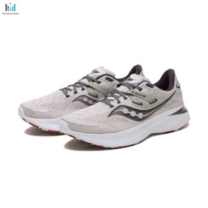 قیمت کفش ساکونی گاید 16 مدل Saucony Guide 16 S20810-27