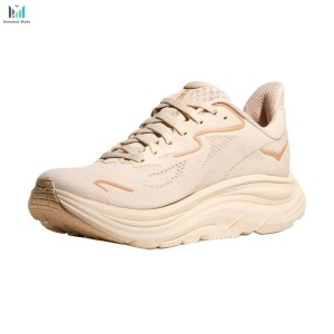 قیمتکفش هوکا کلیفتون 10 مدل HOKA ONE ONE Clifton 10 1162031-VCH