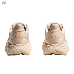 کتونی هوکا کلیفتون 10 مدل HOKA ONE ONE Clifton 10 1162031-VCH