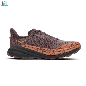 خرید کفش هوکا اسپیدگات 6 گورتکس مدل HOKA Speedgoat 6 GTX 1155151-SZQ