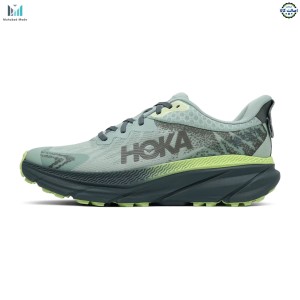 کفش هوکا چلنجر 7 گورتکس مدل HOKA Challenger ATR 7 GTX 1134501F-ALVR سایز 43، 46