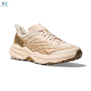 قیمت کفش مردانه هوکا اسپیدگوت 5 مدل HOKA Speedgoat 5 1123157-VLW