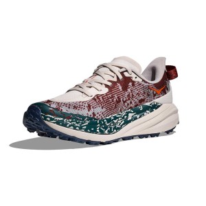 کفش هوکا اسپید گوت 6 مدل Hoka One One Speedgoat 6 1147791-PTYB سایز 45