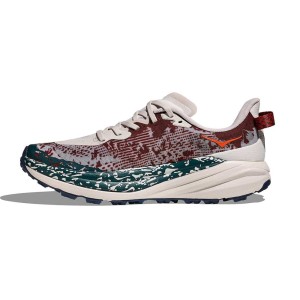 کفش هوکا اسپید گوت 6 مدل Hoka One One Speedgoat 6 1147791-PTYB سایز 45