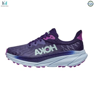 کفش هوکا چلنجر 7 مدل Hoka Challenger 7 ATR 1134500-MGTR سایز 44