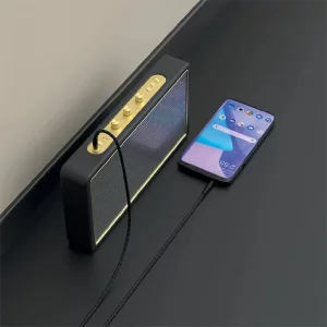 کابل AUX پاوا مدل PW-12BDAUX Braided به طول 1.2 متر