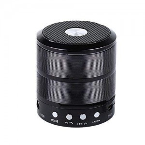 اسپیکر کوچک فلش خور مدل wster ws 887 (اصلی)