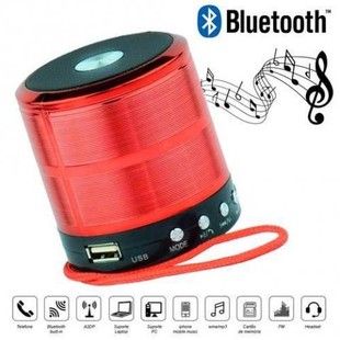 اسپیکر کوچک فلش خور مدل wster ws 887
