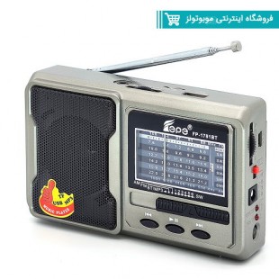 اسپیکر رادیو دار فلش خور