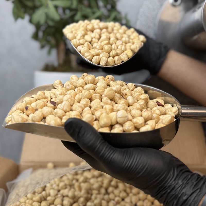 مغز فندق خام