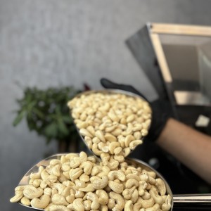 بادام هندی خام