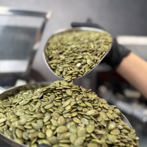 مغز تخم کدو