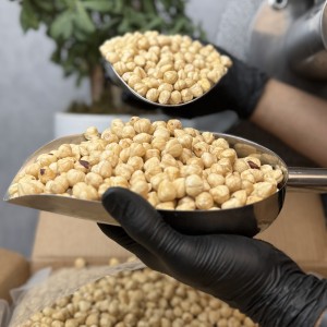 مغز فندق خام