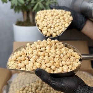 مغز فندق خام