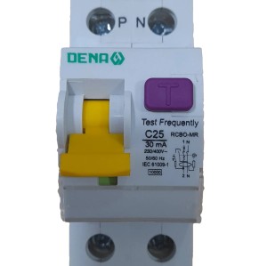 کلید محافظ جان (25 آمپر) دناDENA