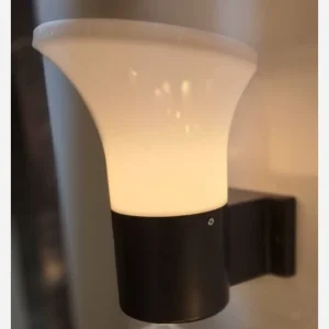 چراغ دیواری روشا (طرح پارکی) برند روشنایی دوستان