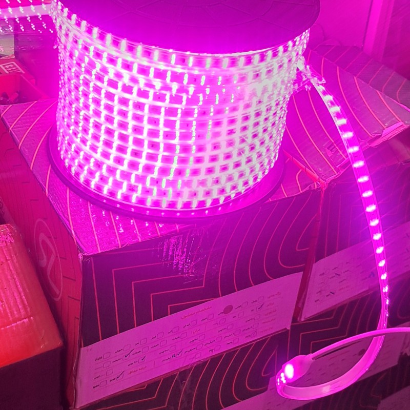 ریسه شلنگی بنفش شارو لایت مدل دولاین 2835 تراکم 120 LED در هر متر (برش هر 1 متر) پهنا 13 میل